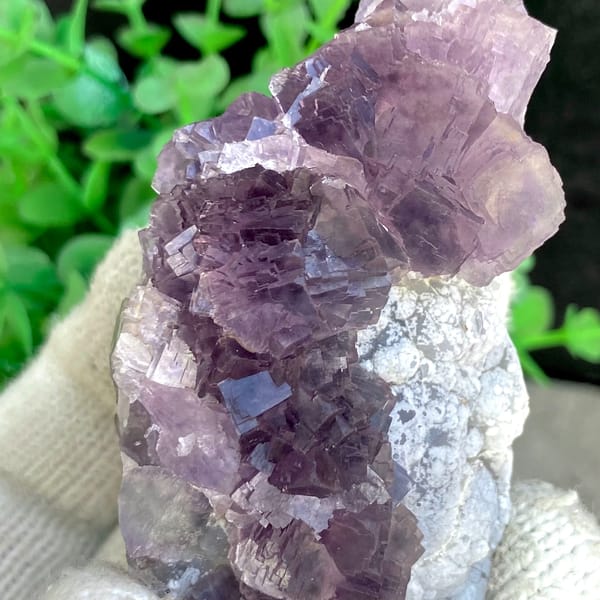 Tall purple fluorite with green cores from Zhejiang, China, top view