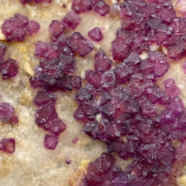Purple-red fluorite octahedra on pale matrix from Henan, China, close-up of the crystal faces