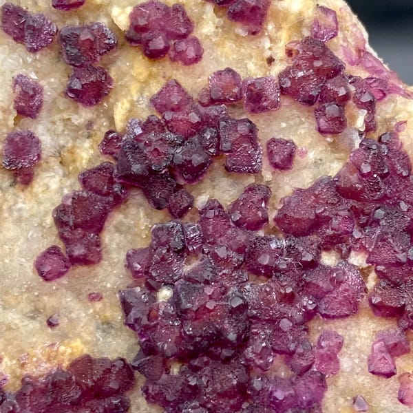 Purple-red fluorite octahedra on pale matrix from Henan, China, top view