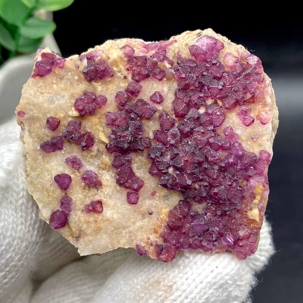 Purple-red fluorite octahedra on pale matrix from Henan, China, close-up of terminations
