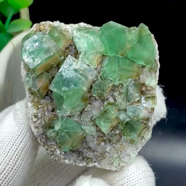 Transparent green fluorite cubes on sparkling quartz from Hebei, China, held in gloved hand