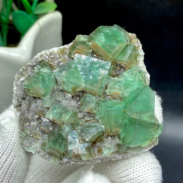 Transparent green fluorite cubes on sparkling quartz from Hebei, China, close-up of the crystal faces
