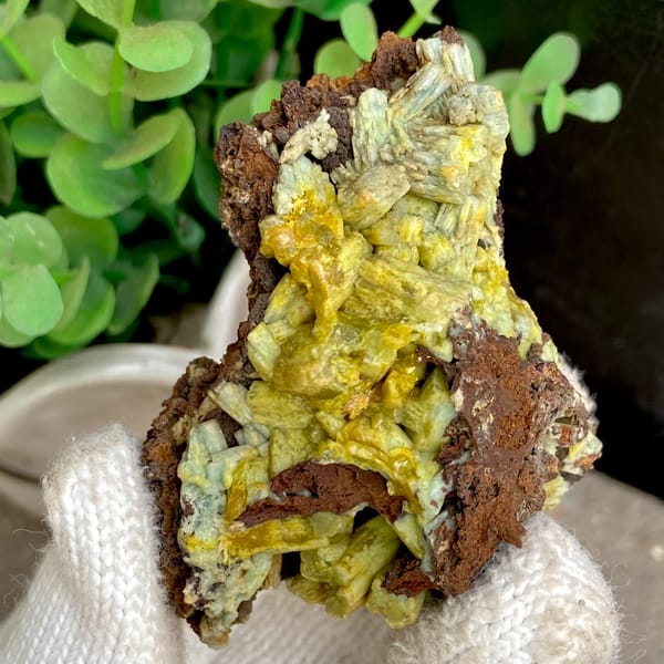 Pale yellow-green pyromorphite prisms on dark limonite from Guangxi, China, second angle