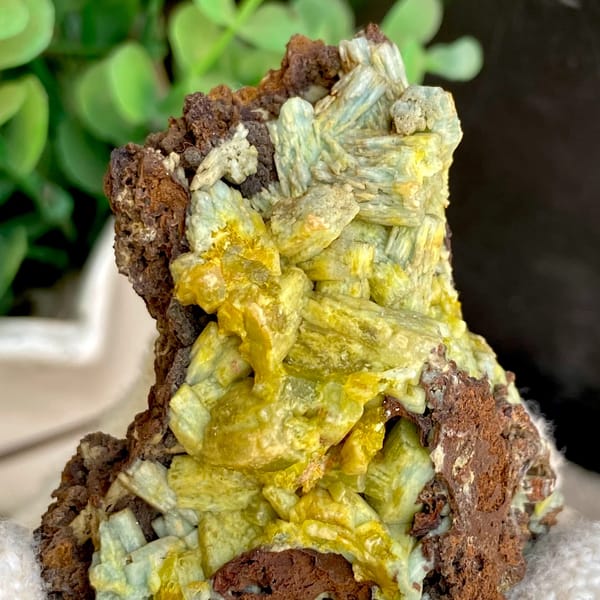 Pale yellow-green pyromorphite prisms on dark limonite from Guangxi, China, reverse side