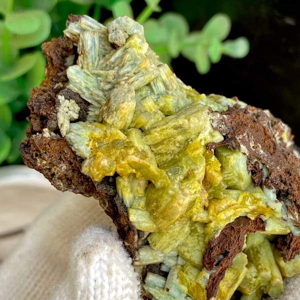 Pale yellow-green pyromorphite prisms on dark limonite from Guangxi, China, top view