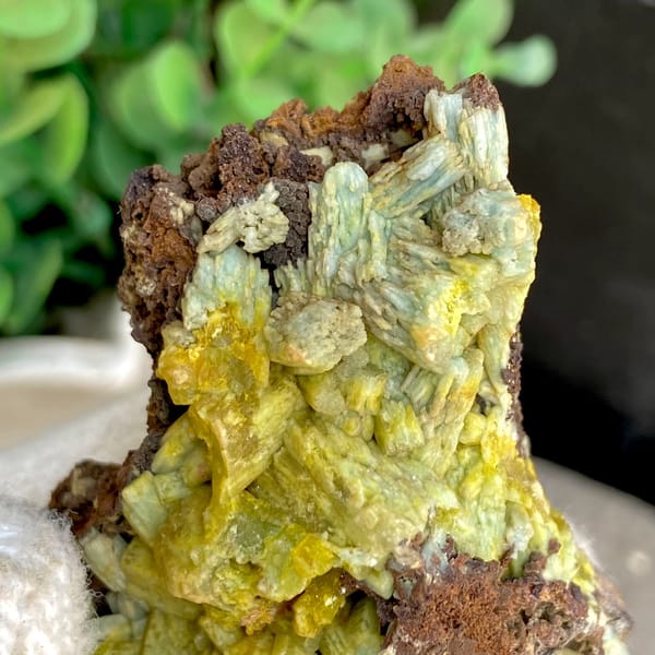 Pale yellow-green pyromorphite prisms on dark limonite from Guangxi, China, detail of the matrix contact