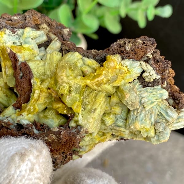 Pale yellow-green pyromorphite prisms on dark limonite from Guangxi, China, side view