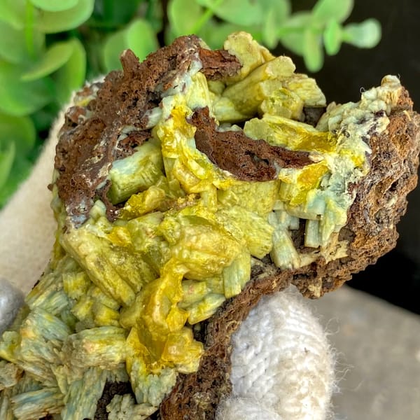 Pale yellow-green pyromorphite prisms on dark limonite from Guangxi, China, close-up of terminations