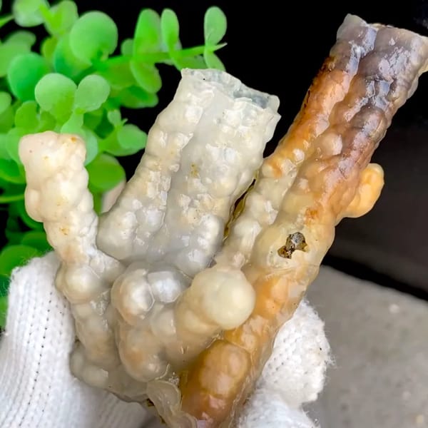 Three tube-shaped agate stalactites in grey and caramel from Indonesia, held in gloved hand