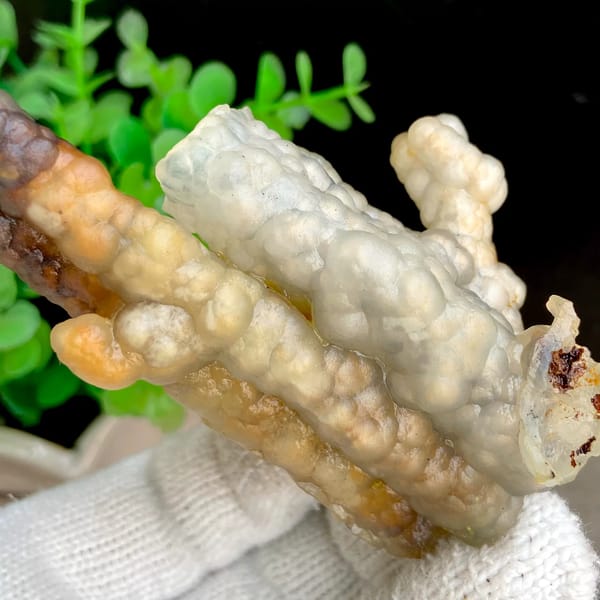 Three tube-shaped agate stalactites in grey and caramel from Indonesia, reverse side
