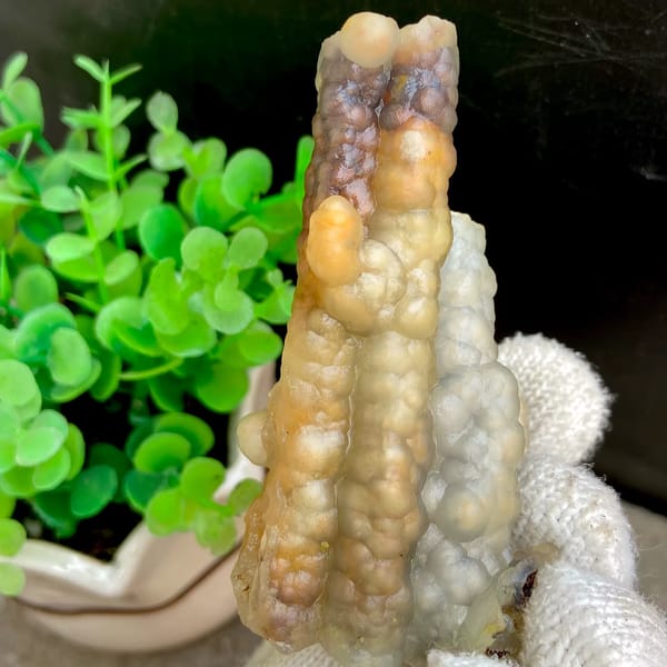Three tube-shaped agate stalactites in grey and caramel from Indonesia, detail of the matrix contact