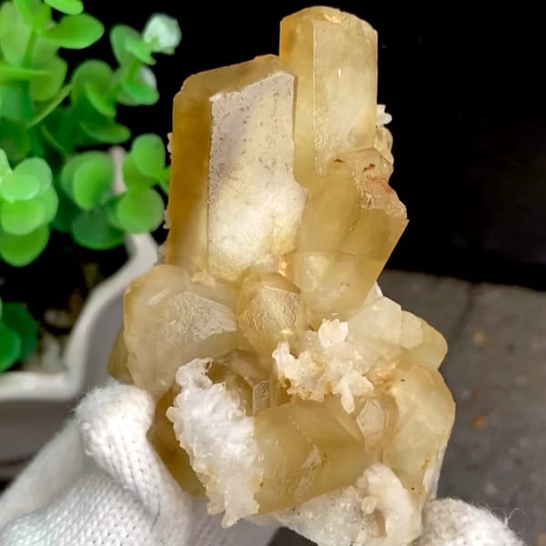 Honey-yellow hexagonal calcite prisms with quartz from Shangbao, Hunan, China, held in gloved hand