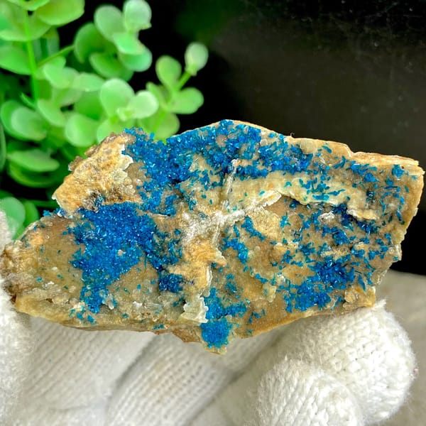 Tall plate of blue-green veszelyite crystals from Yunnan, China, top view