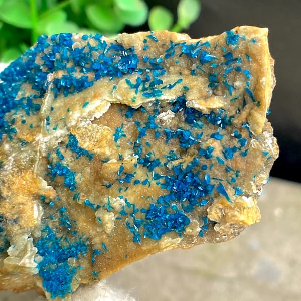 Tall plate of blue-green veszelyite crystals from Yunnan, China, overall view