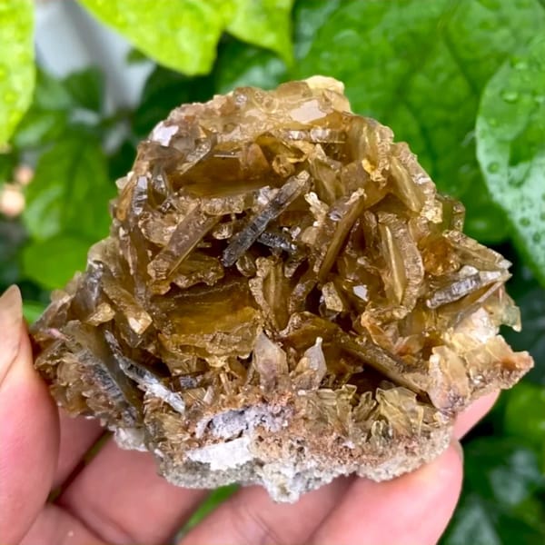 Rounded cluster of amber transparent baryte blades from Yunnan, China, held in hand