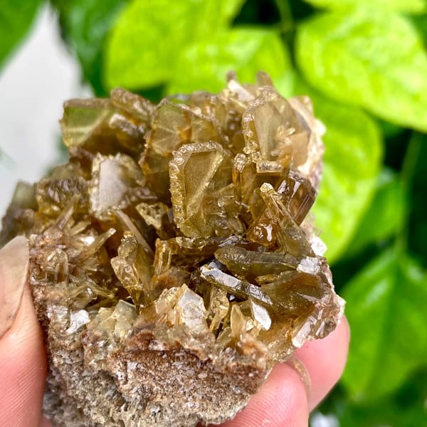 Rounded cluster of amber transparent baryte blades from Yunnan, China, close-up of the crystal faces