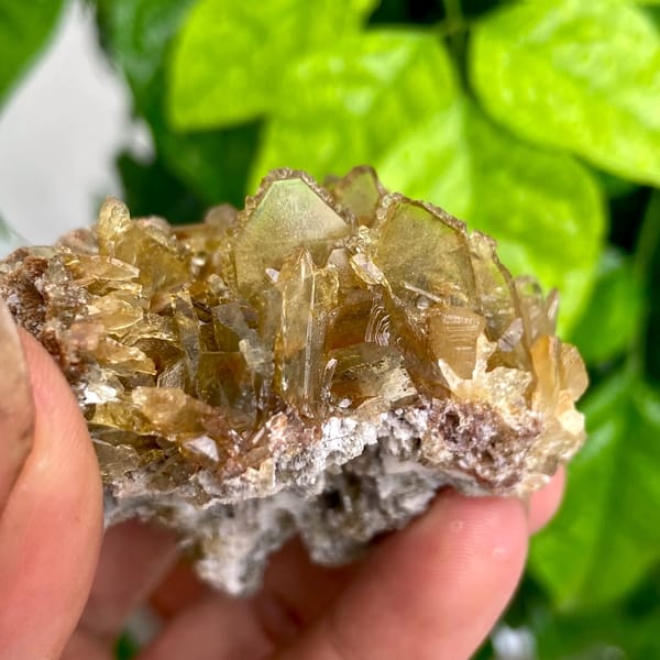 Rounded cluster of amber transparent baryte blades from Yunnan, China, detail of the matrix contact