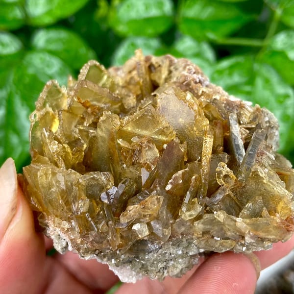 Rounded cluster of amber transparent baryte blades from Yunnan, China, side view
