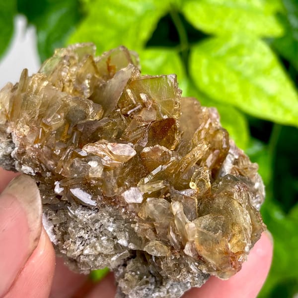 Rounded cluster of amber transparent baryte blades from Yunnan, China, overall view