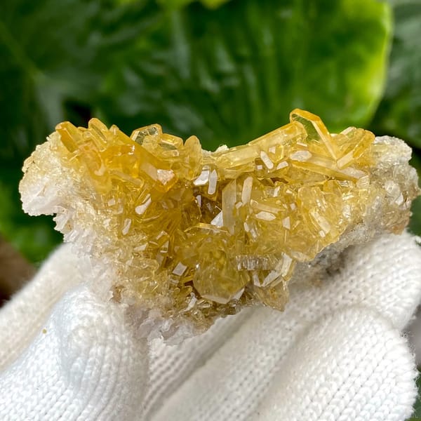 Golden transparent baryte blades on white base from Yunnan, China, second angle