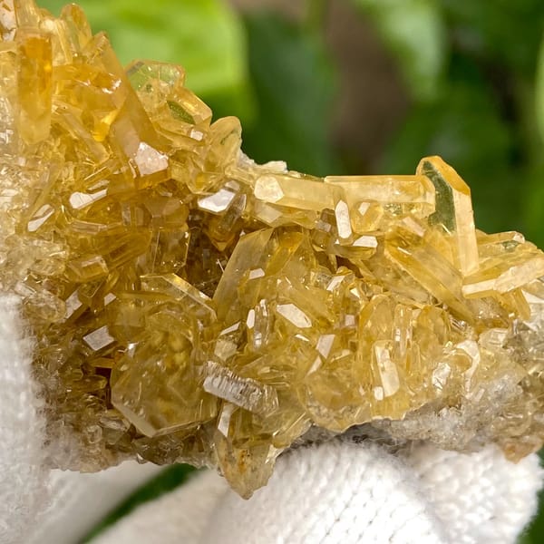 Golden transparent baryte blades on white base from Yunnan, China, reverse side