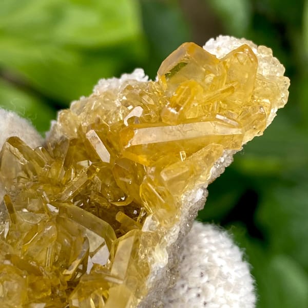 Golden transparent baryte blades on white base from Yunnan, China, top view