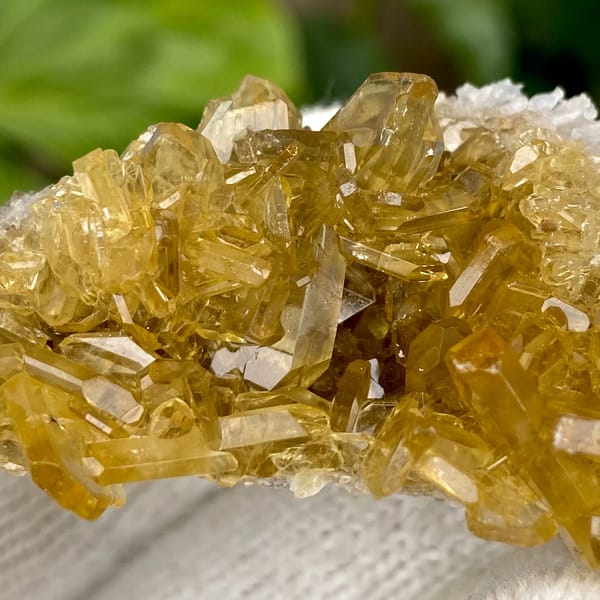 Golden transparent baryte blades on white base from Yunnan, China, detail of the matrix contact