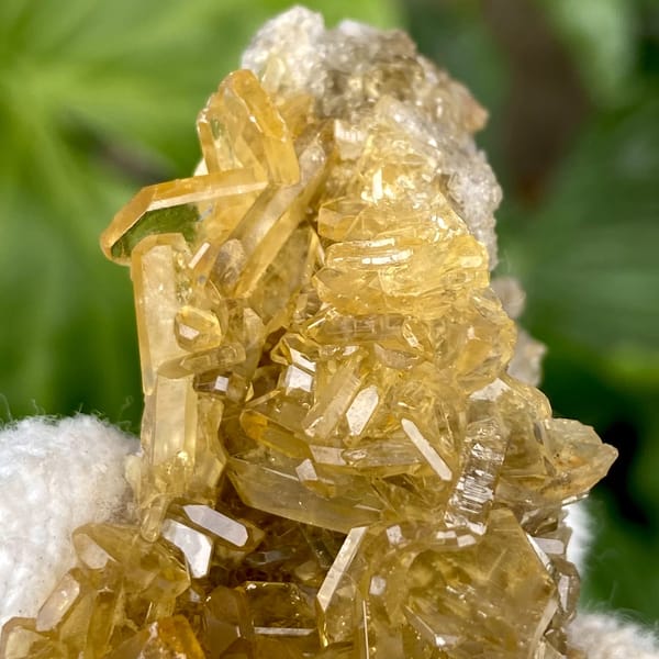 Golden transparent baryte blades on white base from Yunnan, China, close-up of terminations