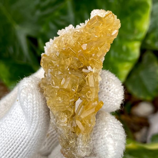 Golden transparent baryte blades on white base from Yunnan, China, overall view