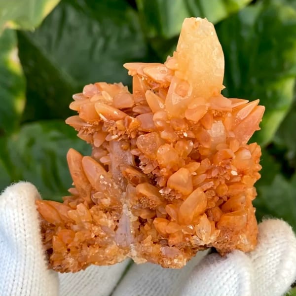 Orange calcite cluster of stacked pointed crystals from Yunnan, China, held in gloved hand
