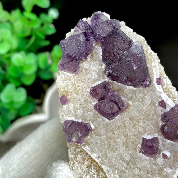 Deep purple fluorite octahedra on white quartz from Zhejiang, China, close-up of the crystal faces