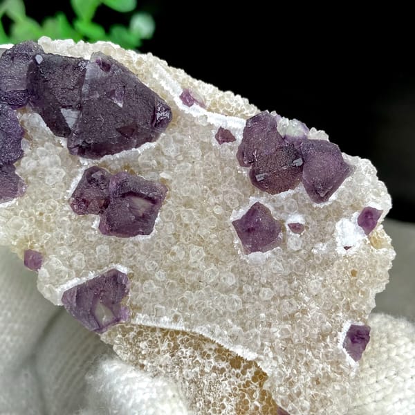 Deep purple fluorite octahedra on white quartz from Zhejiang, China, reverse side