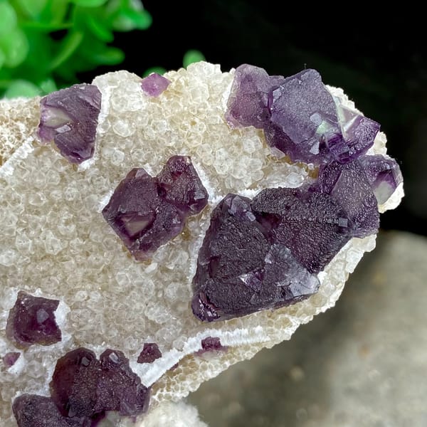 Deep purple fluorite octahedra on white quartz from Zhejiang, China, top view