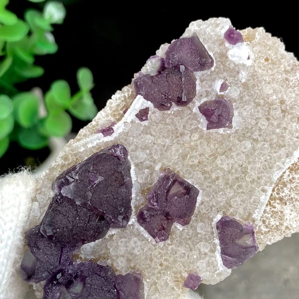 Deep purple fluorite octahedra on white quartz from Zhejiang, China, detail of the matrix contact