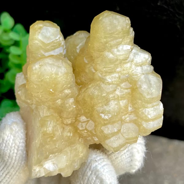 Honey-yellow stepped calcite columns in rounded group from Guizhou, China, close-up of the crystal faces