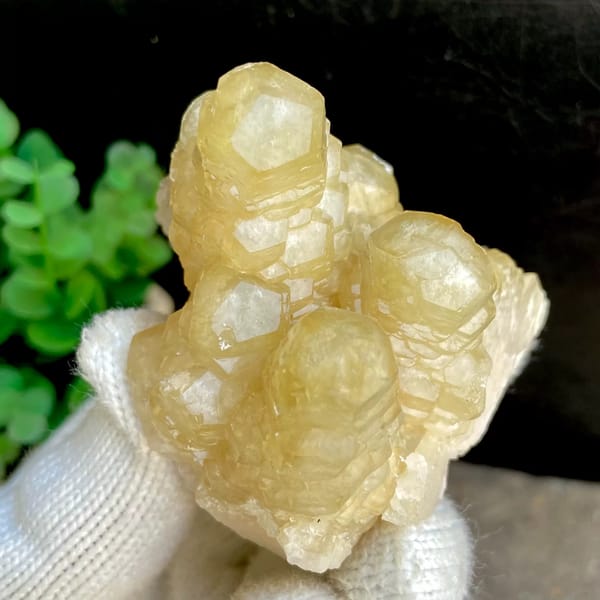 Honey-yellow stepped calcite columns in rounded group from Guizhou, China, top view