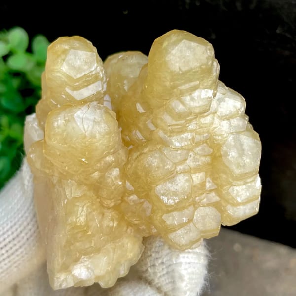 Honey-yellow stepped calcite columns in rounded group from Guizhou, China, detail of the matrix contact