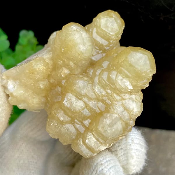 Honey-yellow stepped calcite columns in rounded group from Guizhou, China, side view