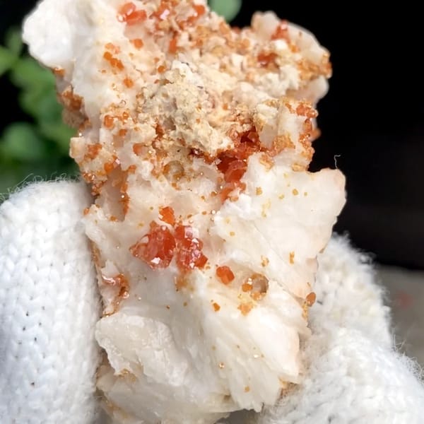 Red vanadinite crystals scattered over white baryte from Morocco, held in gloved hand