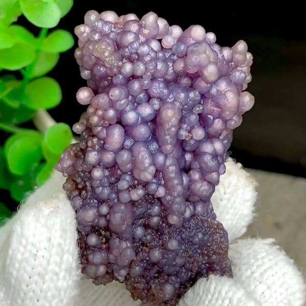 Tall cluster of purple grape agate balls from Indonesia, held in gloved hand