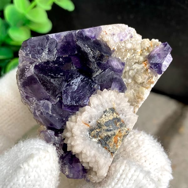 Deep purple fluorite cubes above white bladed calcite from Fujian, China, top view