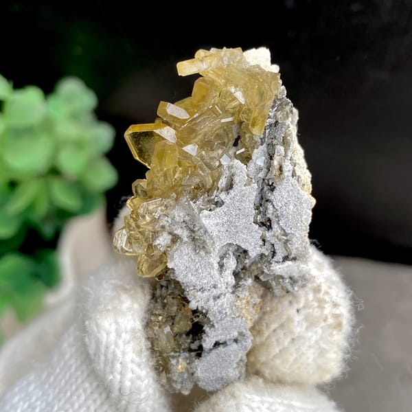 Golden transparent baryte blades on grey matrix from Yunnan, China, close-up of the crystal faces