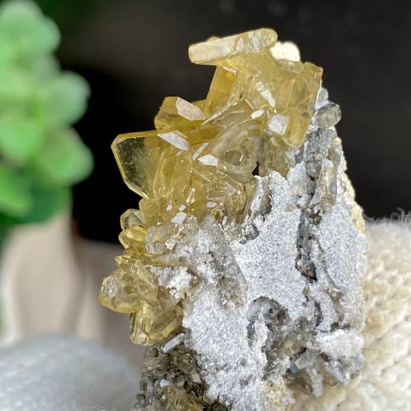 Golden transparent baryte blades on grey matrix from Yunnan, China, detail of the matrix contact