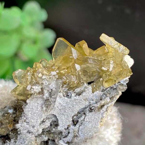 Golden transparent baryte blades on grey matrix from Yunnan, China, side view