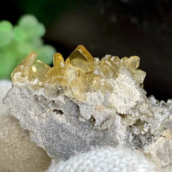 Golden transparent baryte blades on grey matrix from Yunnan, China, overall view