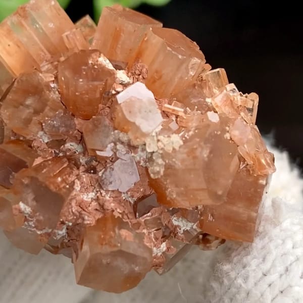 Rust-red aragonite sputnik of radiating prisms from Morocco, held in gloved hand