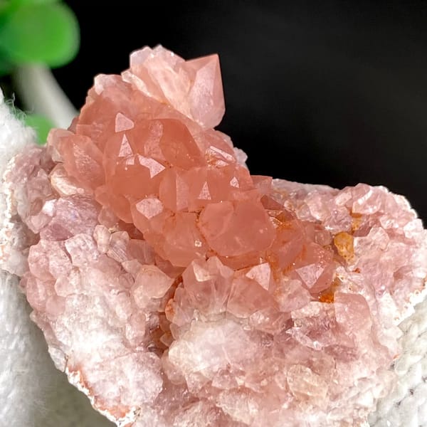 Pale pink quartz pocket with tiny rose-tinted crystals from Argentina, reverse side