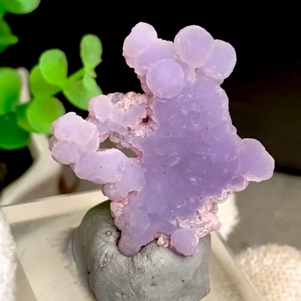 Lavender grape agate spray with pearly lustre from Indonesia, held in gloved hand