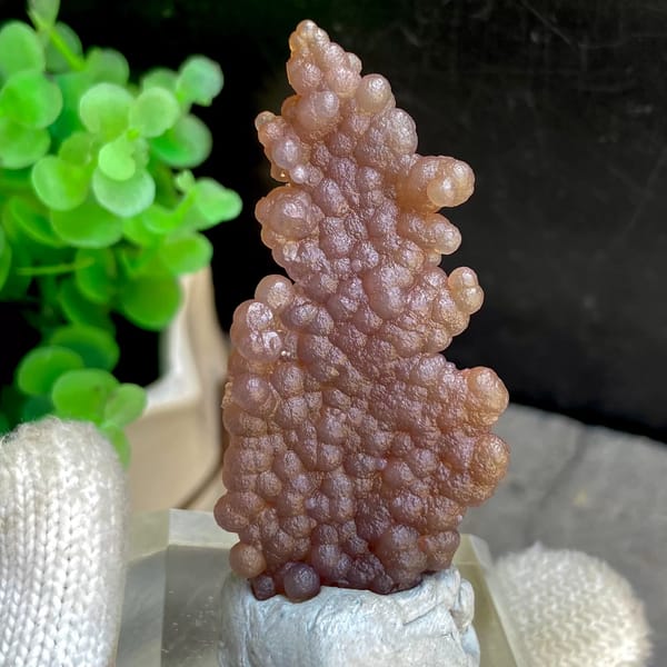 Thin plate of caramel-brown grape agate from Indonesia, second angle