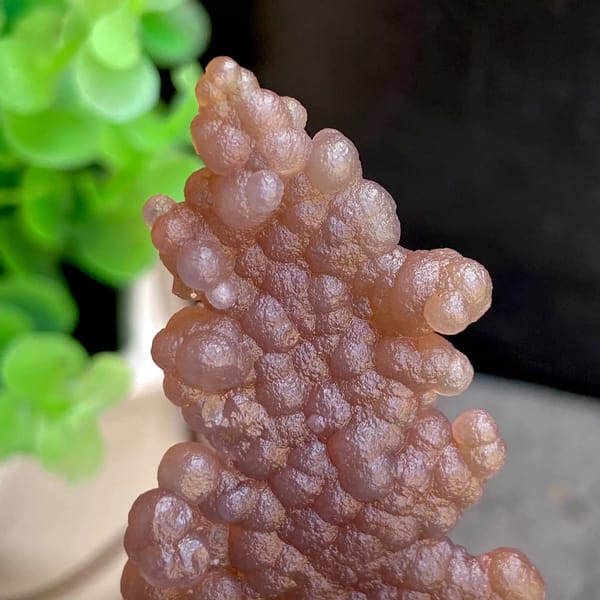 Thin plate of caramel-brown grape agate from Indonesia, close-up of the crystal faces